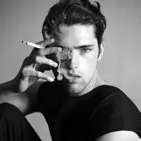 6686体育金牌作者风停了