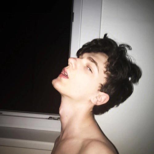 6686体育铁牌作者Sophia