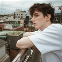 6686体育中级作者专属的成见