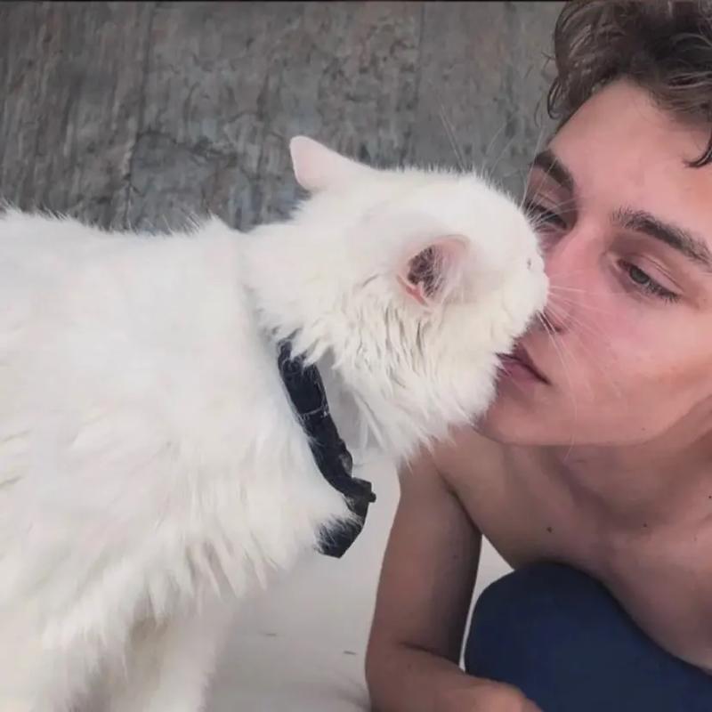 6686体育首席作者Theo