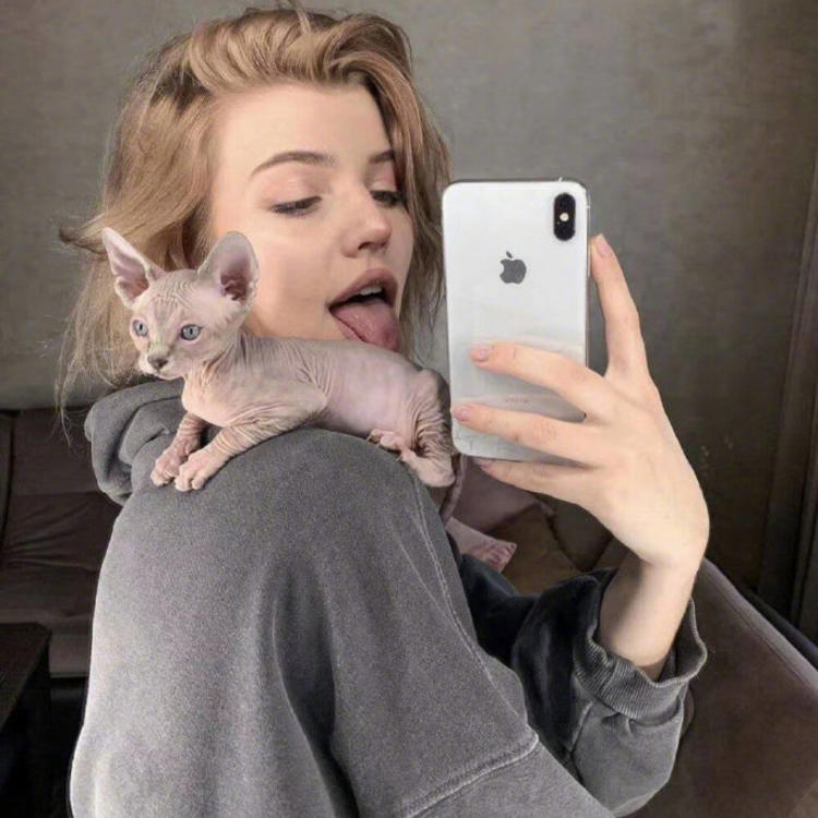 6686体育铁牌作者Paul