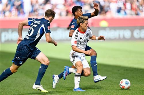 ทีเอสจี ฮอฟเฟ่นไฮม์ พบ ไอน์ทรัค แฟร้งค์เฟิร์ต